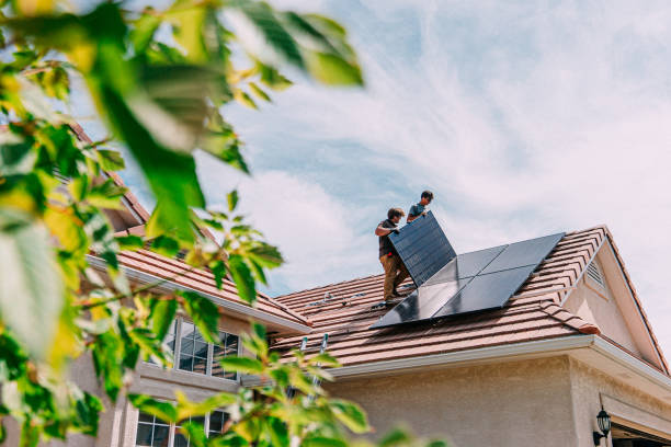 Best Roof Moss and Algae Removal  in Marseles, IL